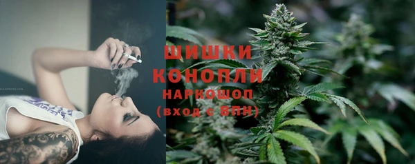 ПСИЛОЦИБИНОВЫЕ ГРИБЫ Богородск