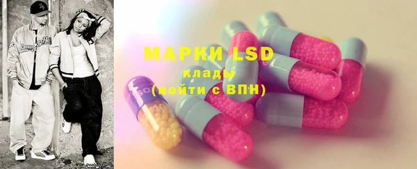 ECSTASY Бородино