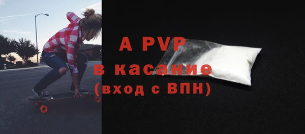 ECSTASY Бородино