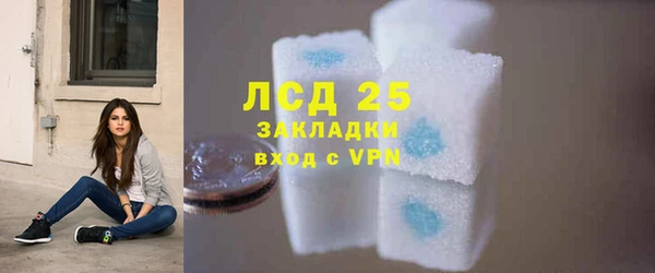 ECSTASY Бородино
