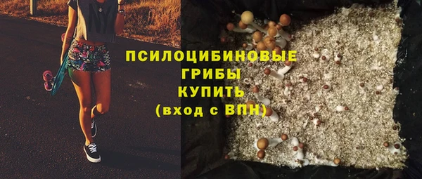 СК Богородицк
