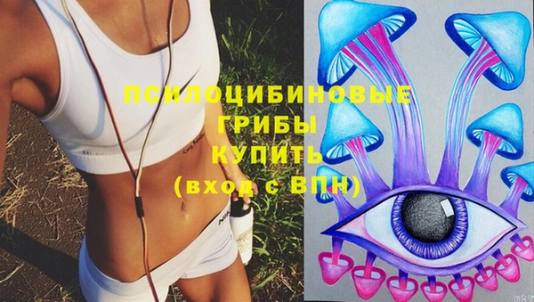 ECSTASY Бородино