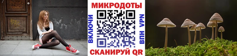 kraken как войти  наркота  Горячий Ключ  Галлюциногенные грибы Cubensis 
